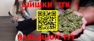 шишки Камышлов