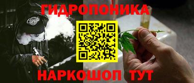 шишки Камышлов