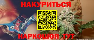 шишки Камышлов