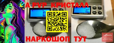 шишки Камышлов